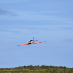 North Cliffs 29.07.2020